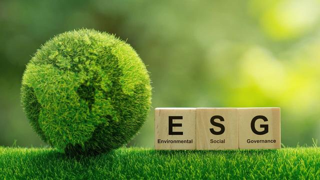 What Is ESG in Banking and Why Does It Matter?
